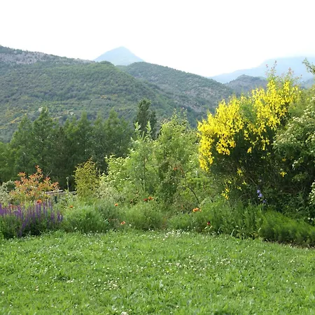 In Montbrun Les Bains Near Forest