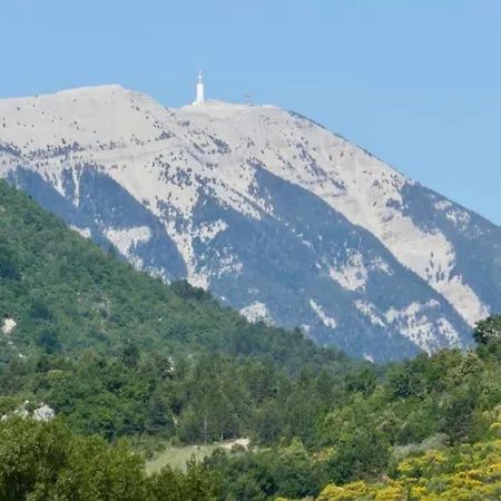 In Montbrun Les Bains Near Forest
