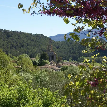 In Montbrun Les Bains Near Forest