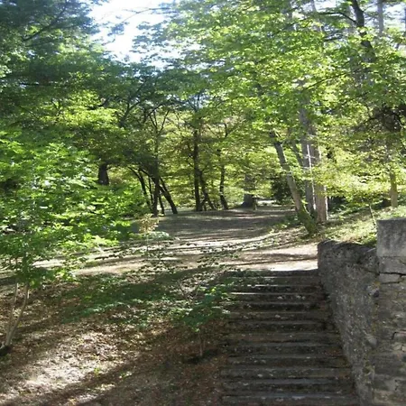 In Montbrun Les Bains Near Forest * Reilhanette